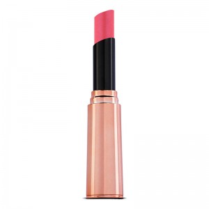 Hot Make-up Professional Fashion Fixation Lipstick Voyage