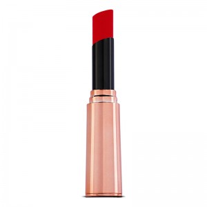 Hot Make-up Professional Fashion Fixation Lipstick Immortal