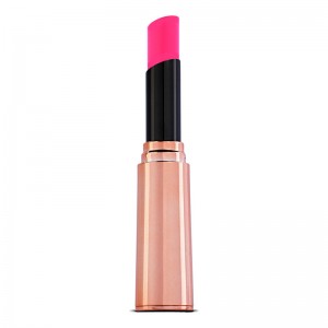 Hot Make-up Professional Fashion Fixation Lipstick Classified