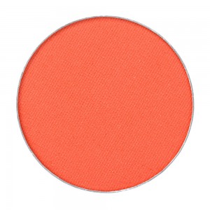 Hot Make-up Professional Silky Matte Eyeshadow State of Grace