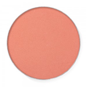 Hot Make-up Professional Silky Matte Eyeshadow Fashion Sense